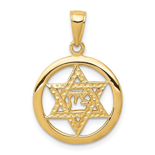10k Jewish Chi in Star of David Pendant