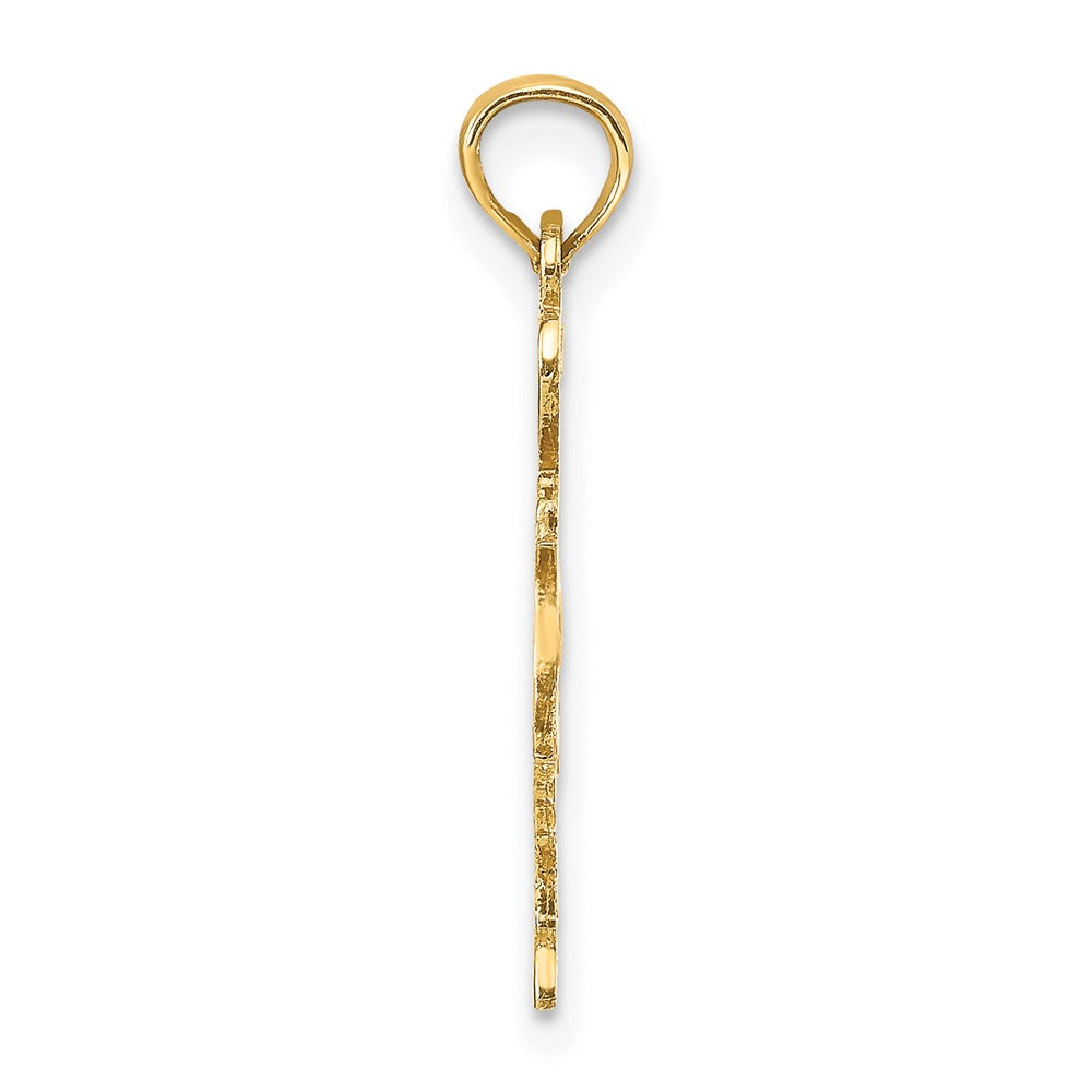 10K Solid Texas State Pendant