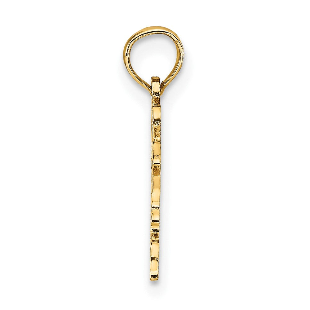 10K Solid Virginia State Pendant