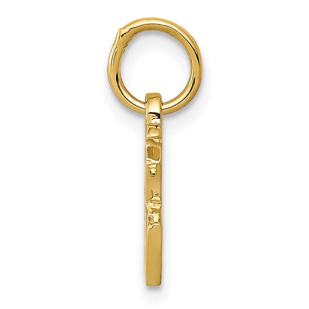 10k Chinese Symbol "Good Luck" Charm