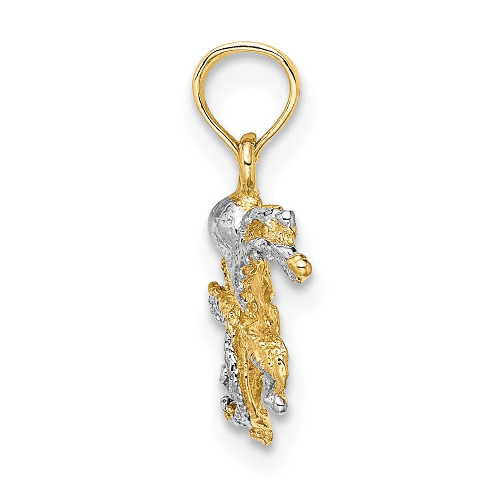 10K W/ Rhodium 2-D and Textured Octopus Charm