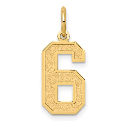 10k Medium Satin Number 6 Charm