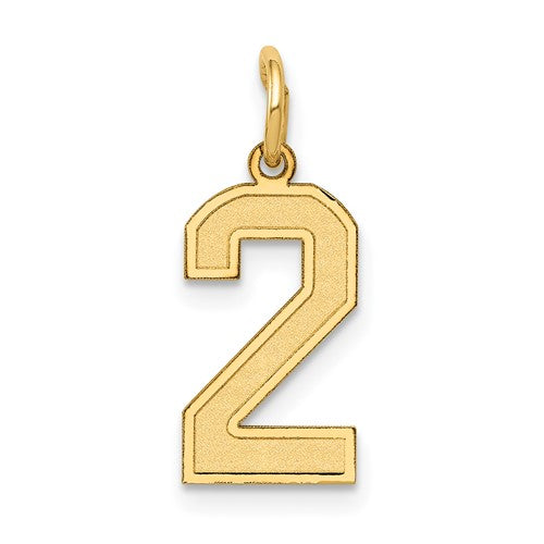 10k Small Satin Number 2 Charm