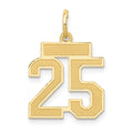 10k Small Satin Number 25 Charm