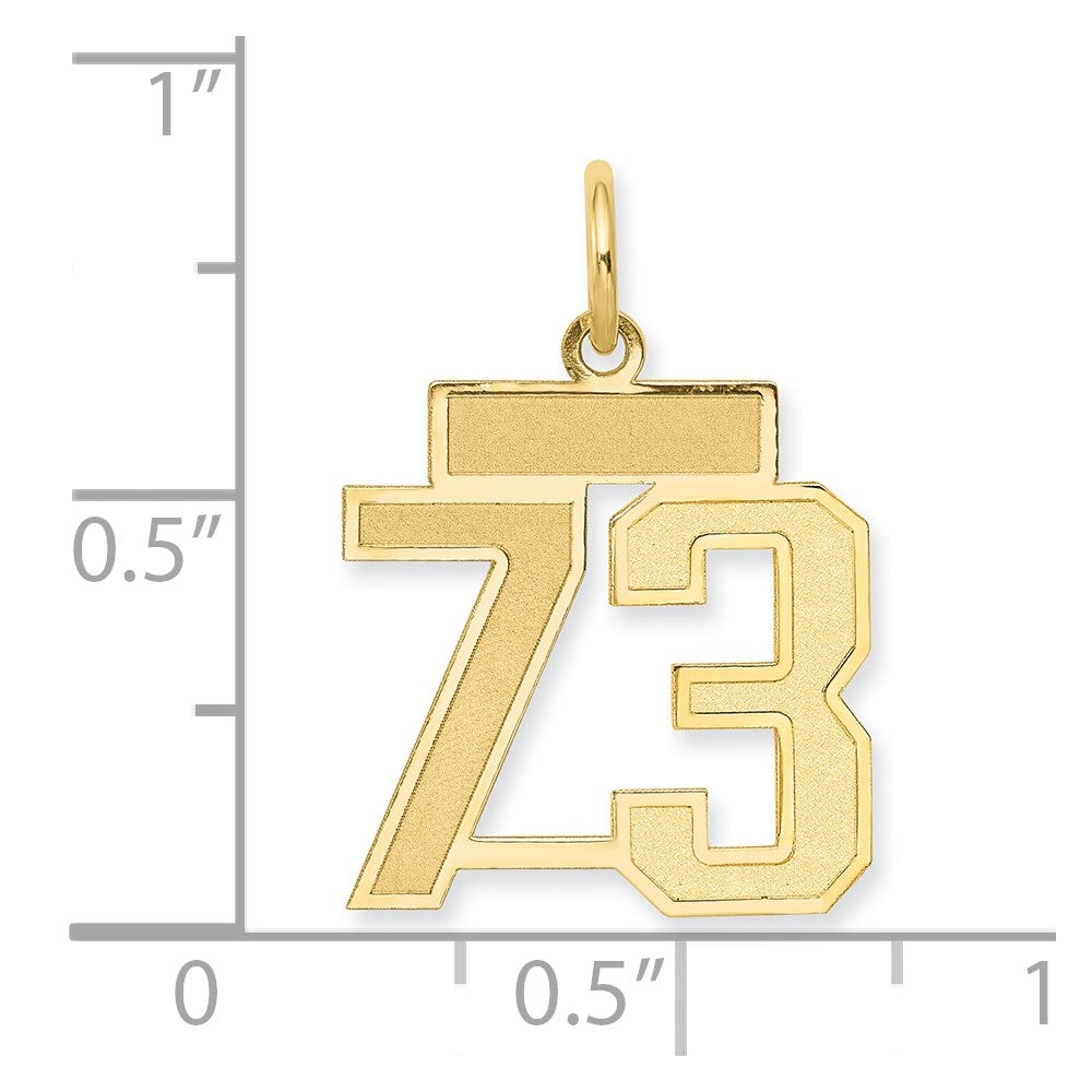 10ky Small Satin Number 73 Charm