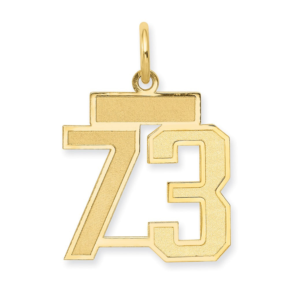 10ky Small Satin Number 73 Charm