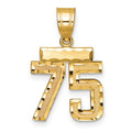 10k Small Brushed Diamond-cut Number 75 Charm