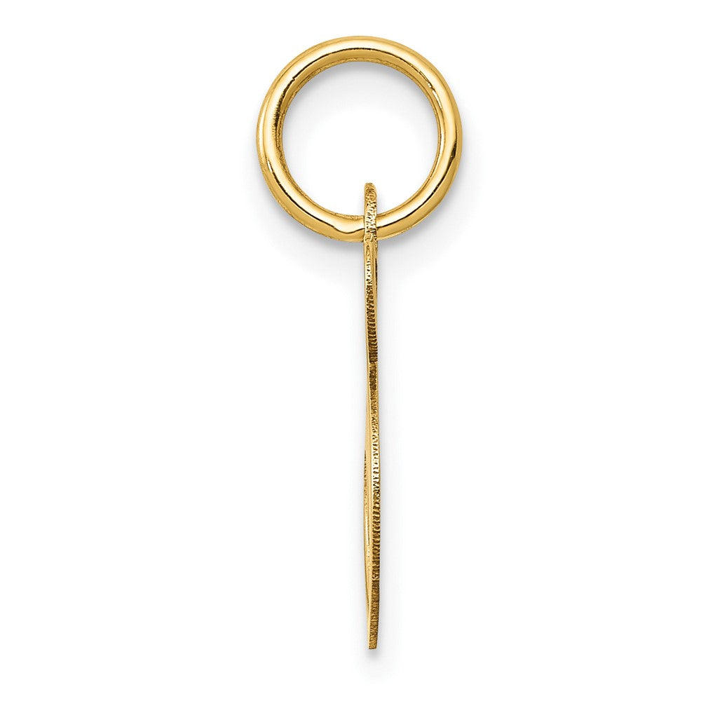 10K Medium Fancy Script Initial S Charm