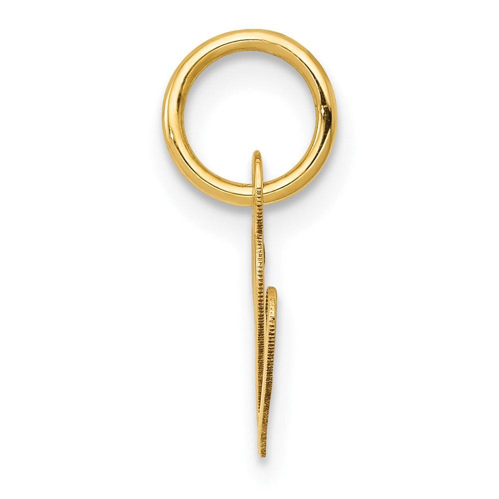 10K Medium Fancy Script Initial V Charm