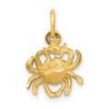 10k Cancer Zodiac Charm