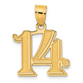 14k Polished Etched Number 14 Pendant