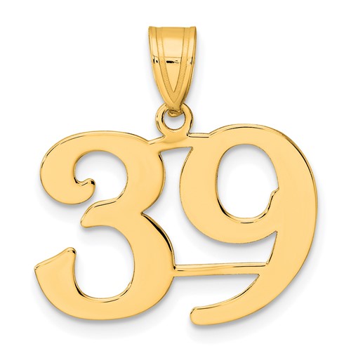 14k Polished Number 39 Pendant