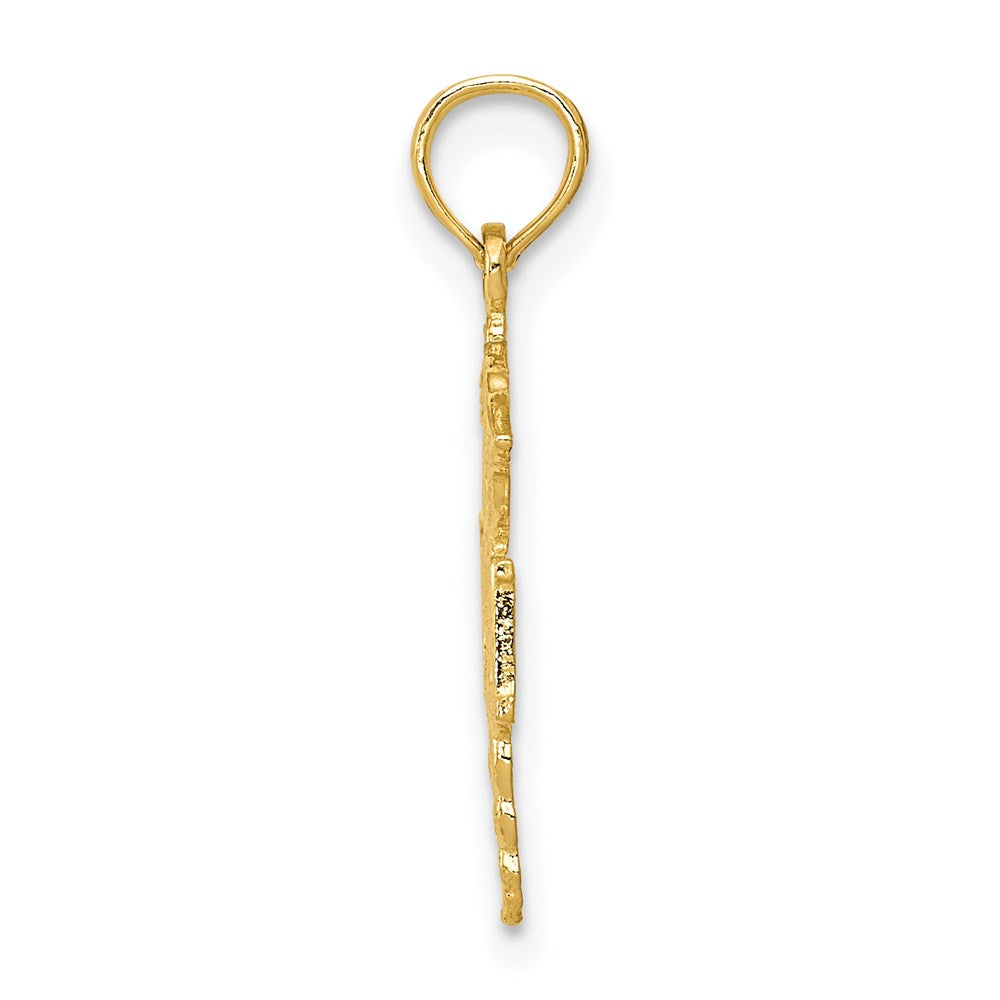 14k Polished R.N. Pendant