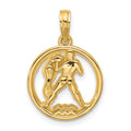 14K Polished Round Aquarius Pendant