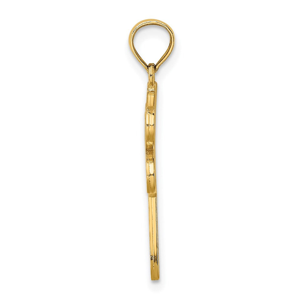 14K Multi Color Enamel Dragonfly Charm