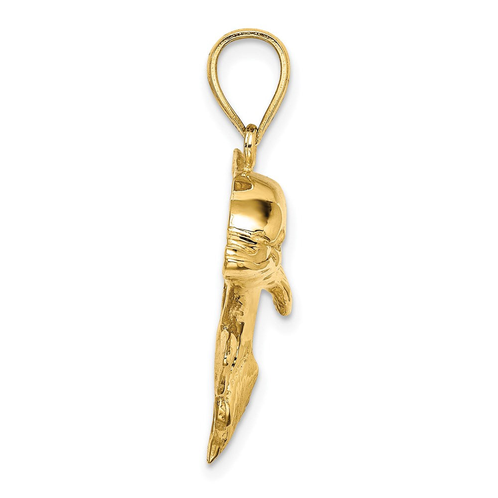 14K 2-D Polished and Textured Dolphin Charm