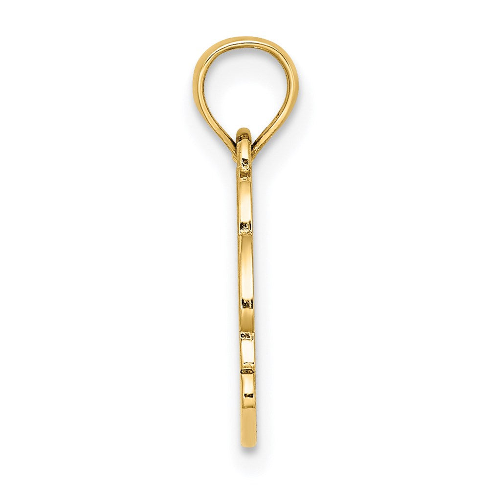 14K Textured NAGS HEAD w/ Dolphin Charm