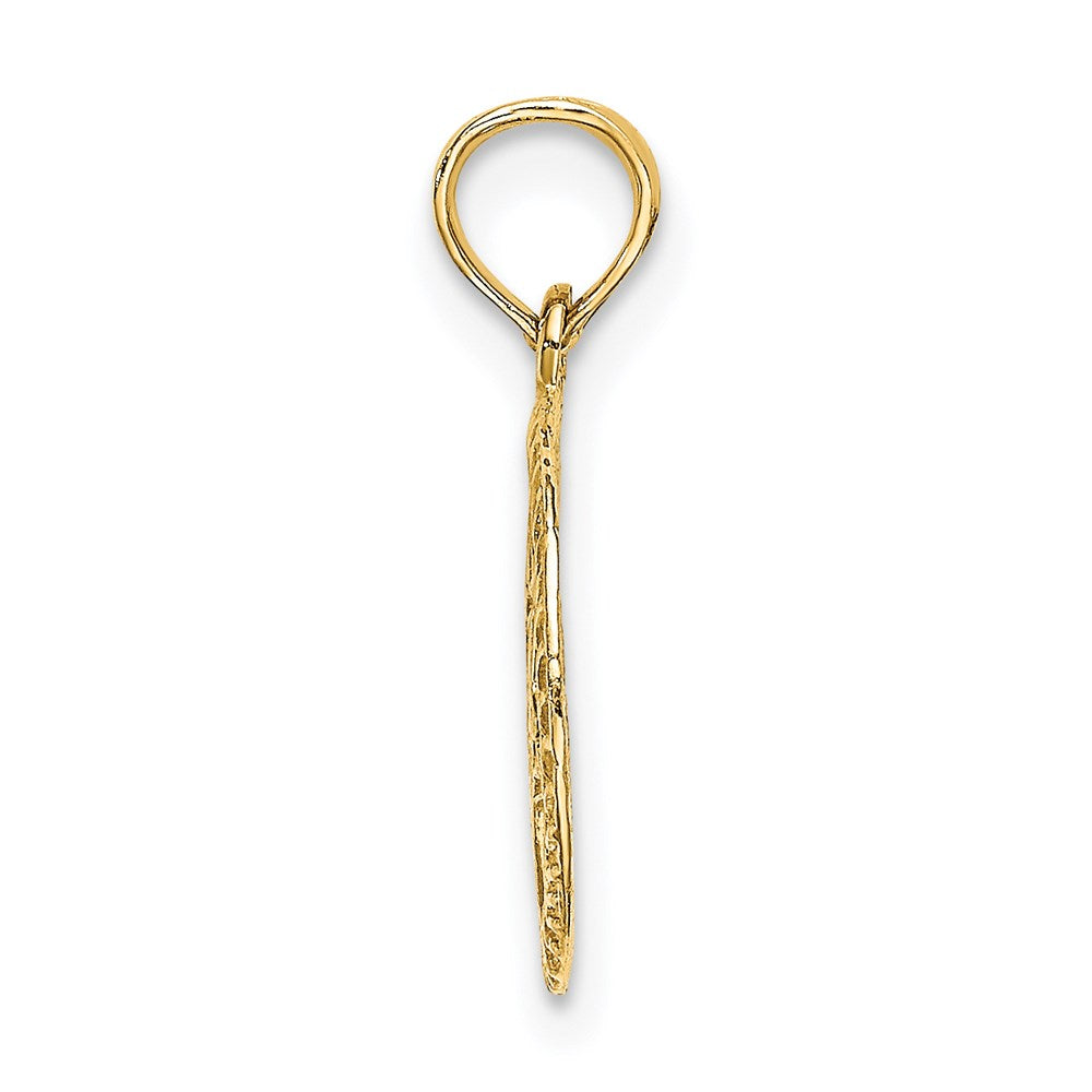 14K Engraved Star Of David In Circle Charm
