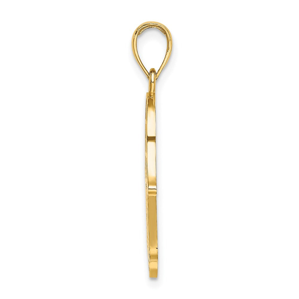 14K Chamseh W/ Star Of David Charm