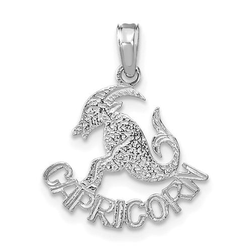 14k WG CAPRICORN Zodiac Charm