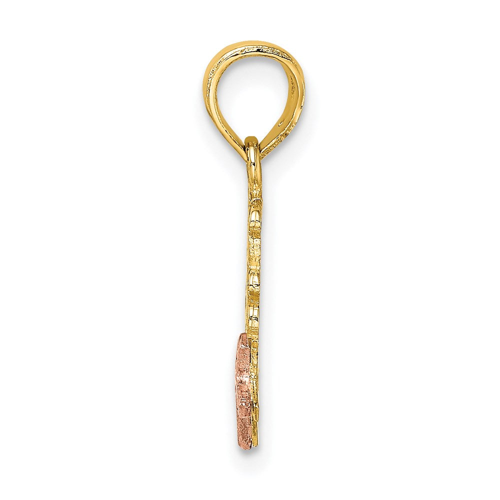 14K Two-Tone JESUS LOVES ME Charm