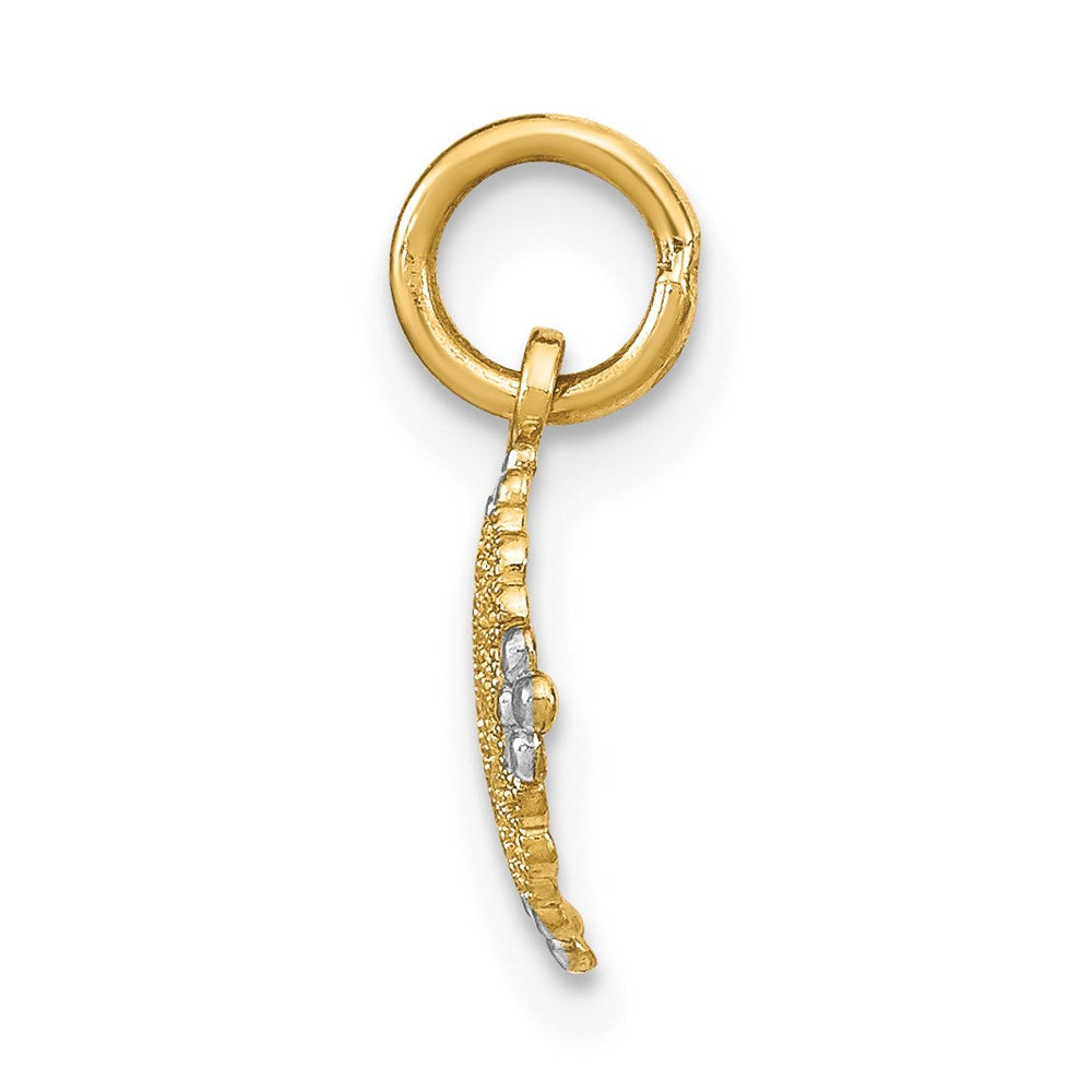 14K w/Rhodium D/C Mini Filigree Medallion Charm