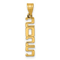 14K Polished Vertical 2025 Graduation Charm