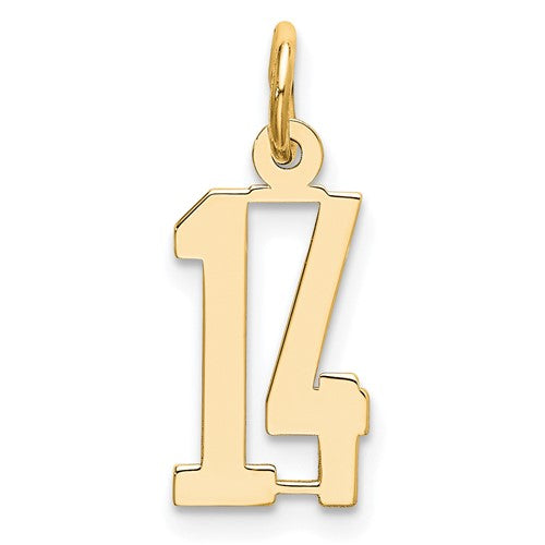 14k Small Elongated Number 14 Charm