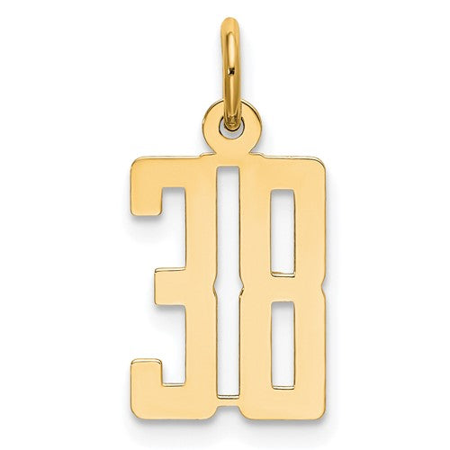 14k Small Elongated Number 38 Charm