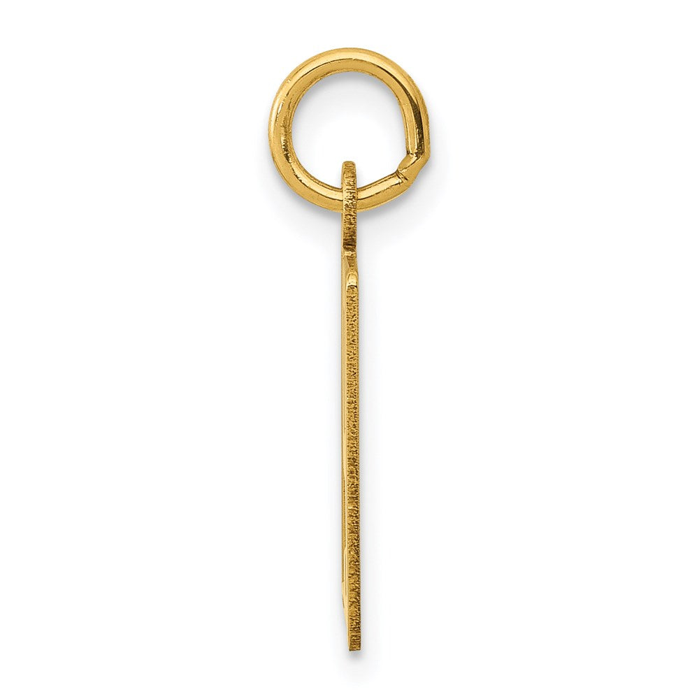 14k Small Elongated Number 79 Charm
