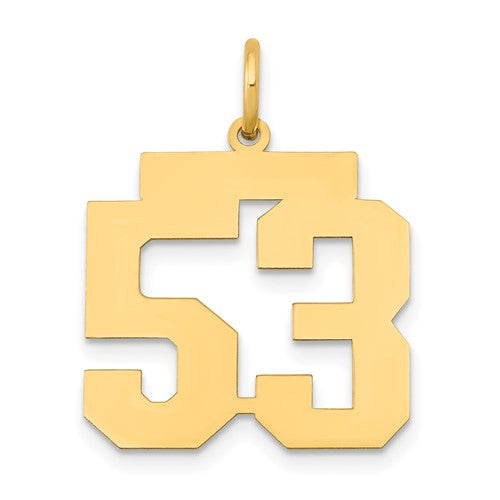 14k Medium Polished Number 53 Charm