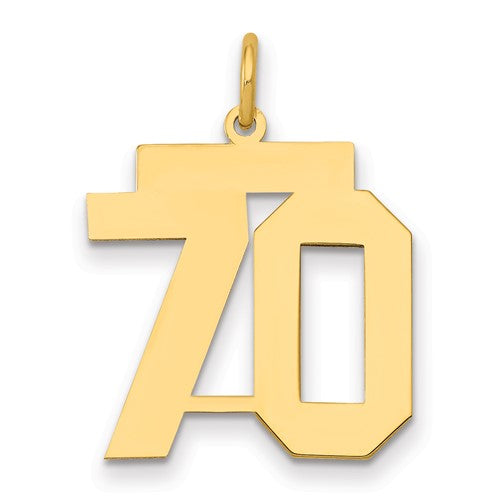 14k Medium Polished Number 70 Charm