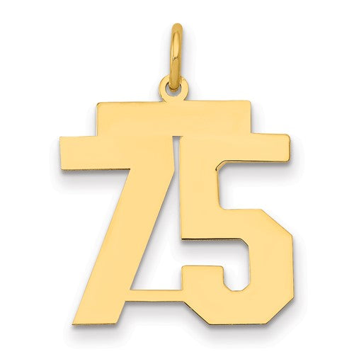 14k Medium Polished Number 75 Charm