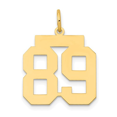 14k Medium Polished Number 89 Charm