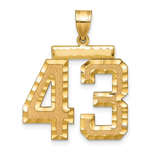14k Large Brushed Diamond-cut Number 43 Charm