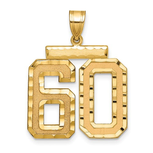 14k Large Brushed Diamond-cut Number 60 Charm