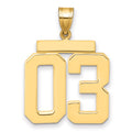 10k Large Polished Number 03 Charm