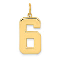14k  Large Polished Number 6 Charm