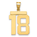 10k Large Polished Number 18 Charm