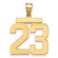 14k Large Polished Number 23 Charm