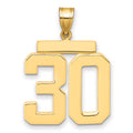 10k Large Polished Number 30 Charm