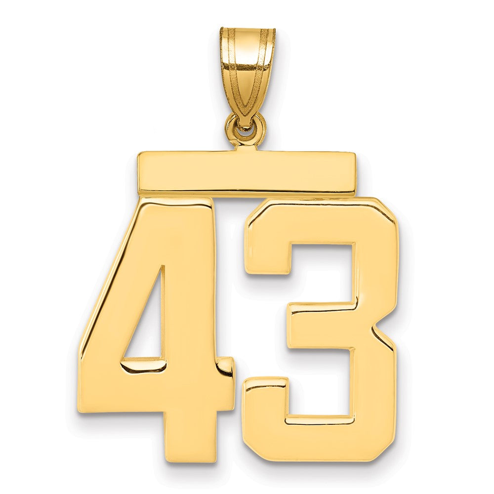 10k Large Polished Number 43 Charm