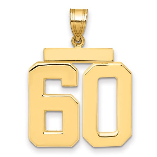 10k Large Polished Number 60 Charm