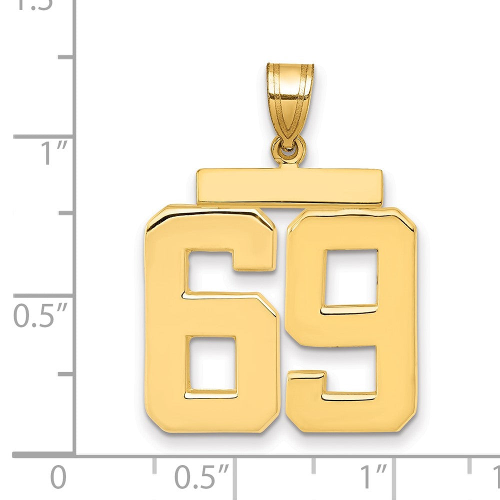 10k Large Polished Number 69 Charm