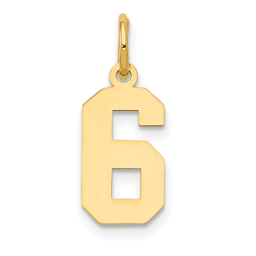 14k Small Polished Number 6 Charm