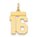 14k Small Polished Number 16 Charm