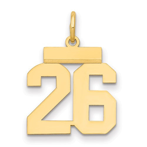 14k Small Polished Number 26 Charm