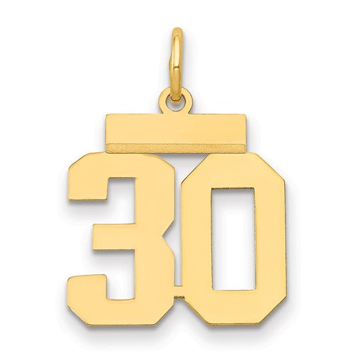 14k Small Polished Number 30 Charm