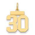 14k Small Polished Number 30 Charm