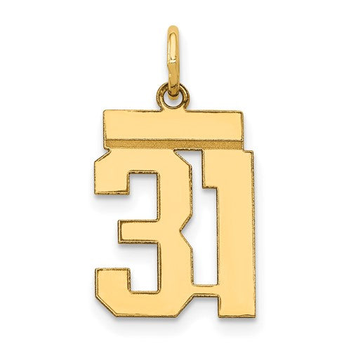 14k Small Polished Number 31 Charm